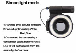 large ring light weefine 3000 balidiveshop 5